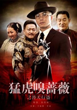猛虎嗅蔷薇之替天行盗封面图