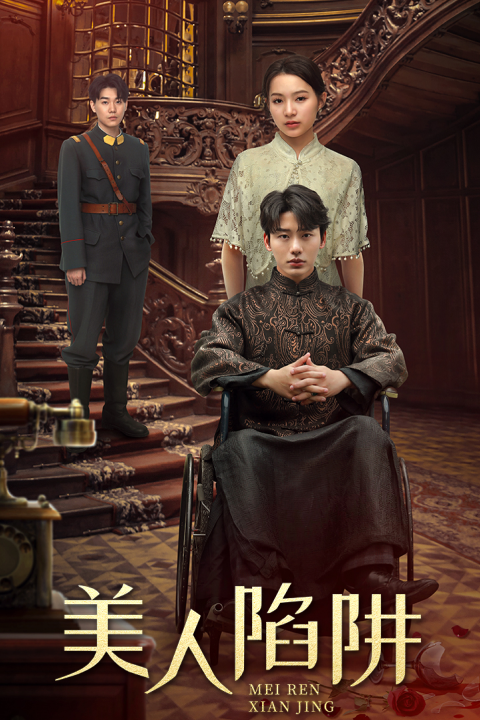 美人陷阱封面图
