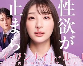 我的一夜情规则封面图