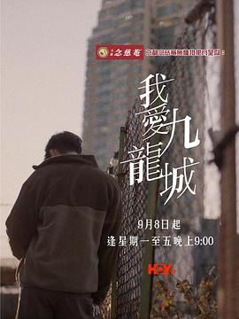 我爱九龙城封面图